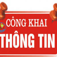 Công khai tài chính ngày 29/4/2021