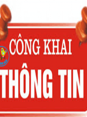 Công khai tài chính ngày 23/4/2021